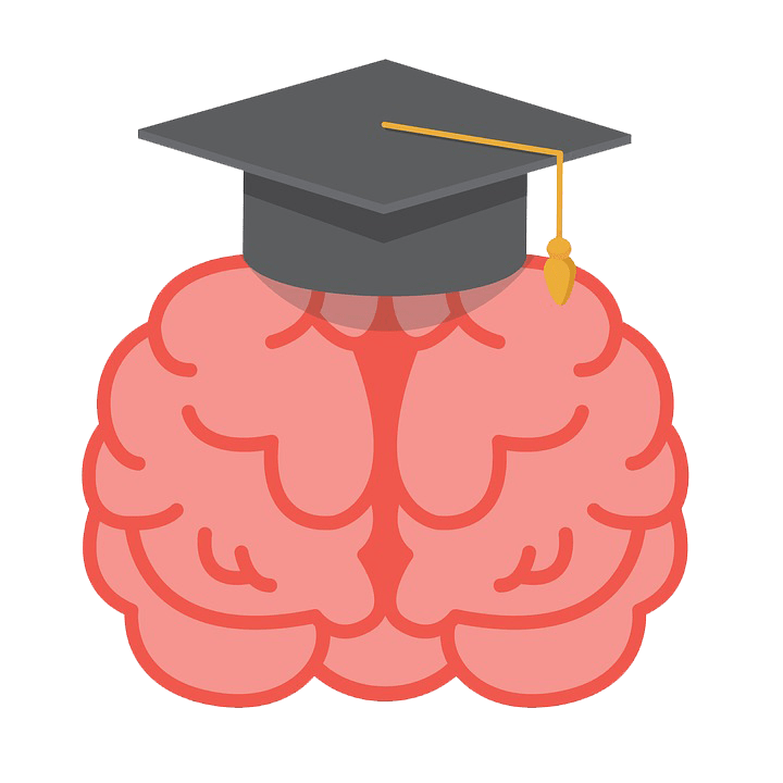 alea quiz brain
