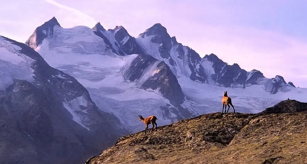 alpes
